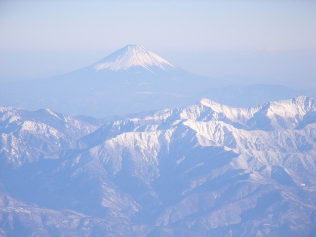 �l�C�̌����E�H�[�^�[�T�[�o�[�̓V�R���̖�