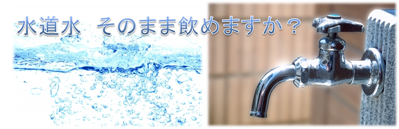 ����̐������͑��v�H